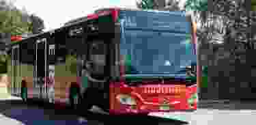 Bessere Busverbindungen in den Tierpark Langenberg